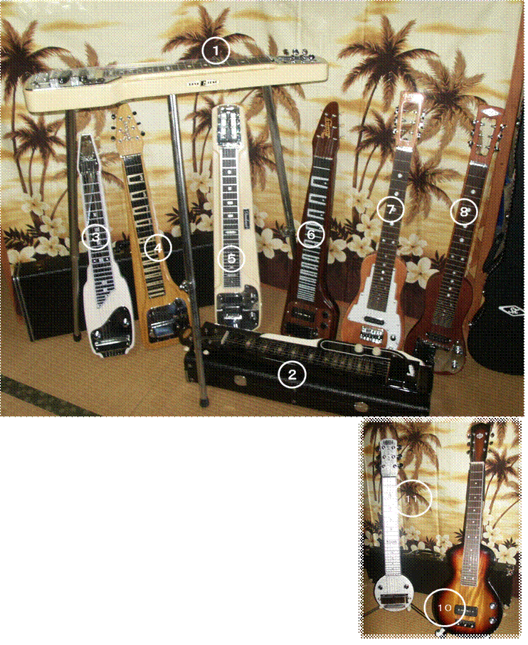 PICT0038.JPG,Sguitar.JPG